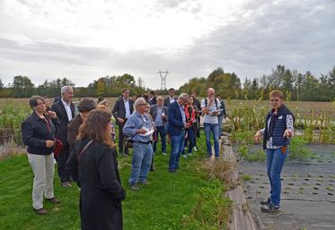 La Grande-Paroisse, jeudi 27 octobre. Isabelle Chanclud présente sa production floricole, de la graine au bouquet.