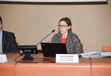 Aurélie Morin, en charge des assurances collectives de Groupama.