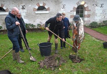 Mercredi 16 novembre, au Domaine de Chaumont-sur-Loire. Deux arbres ont été plantés lors de l'inauguration du Label rouge arbres fruitiers. 