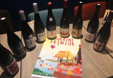 Le concours Touraine primeur 2022 organisé à la grande brasserie de Tours a dévoilé trois gagnants sur neuf cuvées en compétition. 