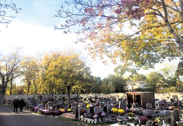 Un caveau se transmet et il est détenu en indivision par tous les descendants du fondateur.