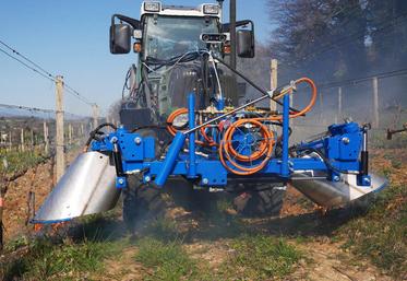 Pour que le traitement thermique fonctionne, il faut que la flamme atteigne les feuilles de la plante.