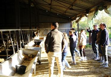 Mardi 22 novembre à La Marolle-en-Sologne, une dizaine d'éleveurs se sont rassemblés pour la demi-journée allaitante organisée par la chambre d'Agriculture.