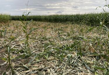 Les dégâts de sangliers et les mesures mises en place ont été longuement évoqués.