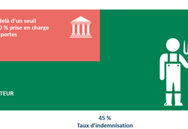 Présentation schématique du cas d’un non-assuré.
