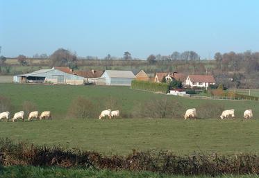  Les droits de mutations peuvent être réduits, sous conditions, en cas de vente du fonds loué au preneur. 