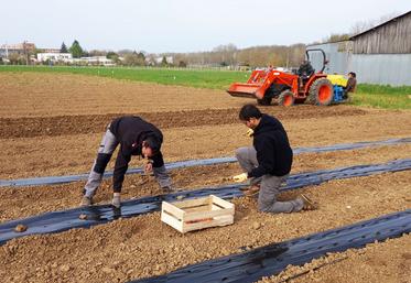 L'Eplefpa de Chartres La Saussaye propose deux formations en maraichage et en production de plantes médicinales et aromatiques, en agriculture bio.