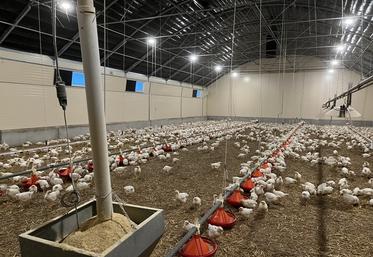 Chauffage au gaz, alimentation, aération& les bâtiments sont totalement automatisés.