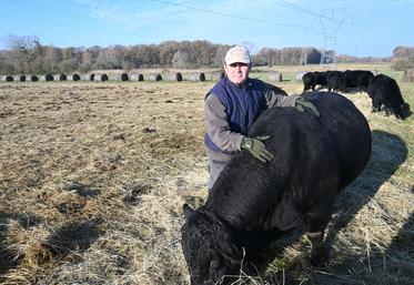 Franck Baechler s'est installé en 2018 après quinze années passées en tant que conseiller à la chambre d’Agriculture de Loir-et-Cher. Il élève des vaches angus en agriculture de conservation.
