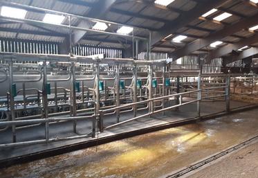 Salle de traite intégrée au bâtiment qui limite le temps de lavage.