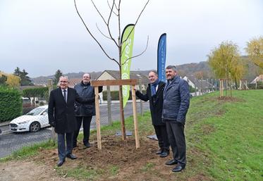 Saint-Mard, jeudi 8 décembre. Lancement de la plantation de 10	000 arbres sur la communauté d'agglomération de Roissy Pays de France.