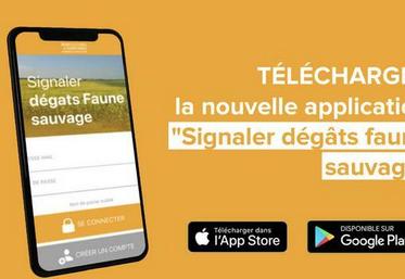L’application Signaler dégâts faune sauvage permet de géolocaliser, photographier et caractériser les dégâts. Elle est simple d'utilisation.