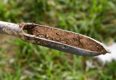 Une tarière est disponible dans chaque commune auprès du correspondant communal pour réaliser les prélèvements.