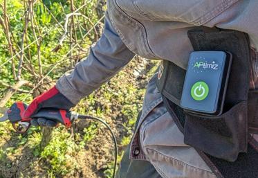 Aptimiz s'est associé aux sécateurs Infaco afin d'offrir aux viticulteurs une solution digitale innovante pour la taille des vignes. 
