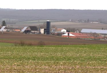 Le propriétaire ou le locataire peut décider de mettre fin au bail avant la date d'échéance pour des motifs spécifiques. La résiliation peut également être décidée d'un commun accord.