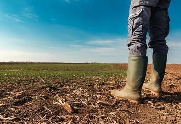 Pour bénéficier du dégrèvement, le jeune agriculteur doit souscrire sa demande avant le 31 janvier de l'année d'imposition.