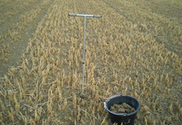 Afin de réaliser les analyses de sol RSH*, le laboratoire a besoin des échantillons prélevés par les agriculteurs sur les parcelles qu'ils veulent analyser. 