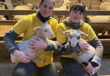 À Rambouillet (Yvelines), le 17 janvier. Caliste Mansuy et Gabrielle Peyron ont remporté la finale régionale des 18es Ovinpiades des jeunes bergers. 