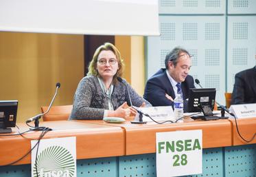 Vendredi 10 février, à Chartres. La directrice adjointe de l'Iris, Sylvie Matelly, est venu parler d'énergie et d'économie lors de l'AG de la FNSEA d'Eure-et-Loir.