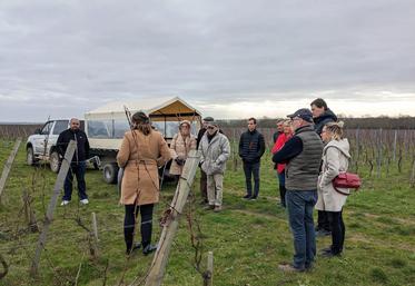 Le 1er février, à Davron (Yvelines). L'assemblée générale du syndicat de Maule a été l'occasion d'une visite de domaine viticole La Bouche du roi.