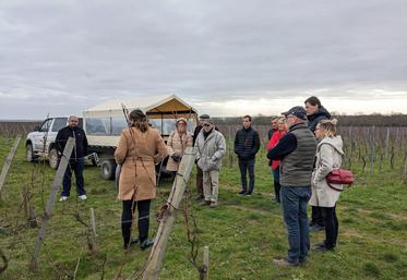 Le 1er février, à Davron (Yvelines). L'assemblée générale du syndicat de Maule a été l'occasion d'une visite de domaine viticole La Bouche du roi.