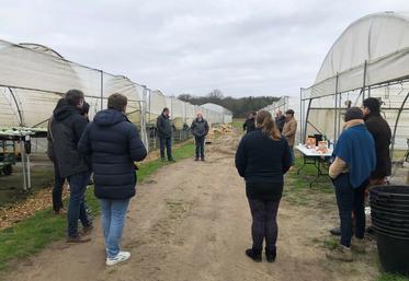 Visite d'une exploitation maraîchère.