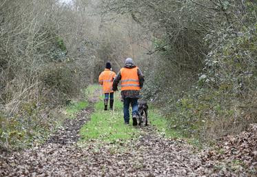 Même si la tendance est à la hausse, les chasseuses sont encore loin d'être majoritaires dans les groupes de chasse.