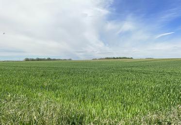 En principe, le fermier dispose d’un droit de préemption seulement si le bailleur dé­cide de vendre la parcelle à sa descendance, mais pas dans le cadre d'une donation.