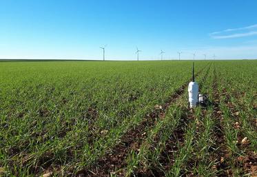 Les aides permettent d'investir dans du matériel pour faire face aux aléas climatiques (gel, grêle, sécheresse, vent).