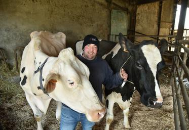 Sébastien Bonamy a présenté My-Way EHB (à g.), 7 ans, habituée aux concours depuis ses 6 mois, et Papaye EHB (à d.), 3 ans, qui participait à son premier concours en novembre dernier et pour qui le Sia était encore inconnu. 
