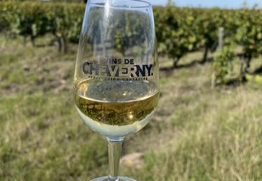 L'Organisme de défense et de gestion de Cheverny/Cour-Cheverny est toujours en quête de modernisation pour répondre aux attentes des consommateurs et aux enjeux de demain, nous a expliqué son nouveau président. 