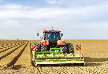 La technique de plantation en billons se pratique généralement pour la production de plants. Nicolas Sainte-Beuve l’a adaptée à sa production de grenailles.