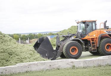 Porté par le projet ++AB, le développement des surfaces et productions bio poursuit son essor : l’an dernier, plus de 20 000 tonnes de luzerne bio ont été commercialisées.