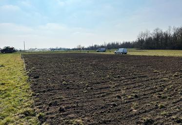 Le 4 mars, à Saint-Jean-de-Braye. 2 000 m2 de cultures ont été semées pour l'événement Festi'ferme qui se déroulera les 17 et 18 juin prochain. 