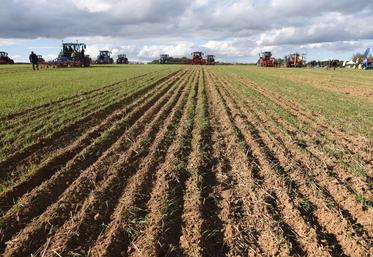 Une quinzaine d'outils de désherbage seront présentés à Désherb'avenir les 16 et 17 mai à Santeau (Loiret).