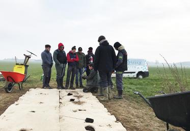 Au Tertre-Saint-Denis (Yvelines), le 16 février. Les élèves de BTS Acse ont participé à la plantation de 400 mètres linéaires de haies sur une exploitation. 