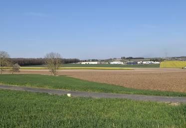 Le locataire qui désire s’opposer au renouvellement du bail pour une nouvelle période de neuf ans est tenu d’adresser un courrier recommandé avec accusé de réception à son bailleur, au moins dix-huit mois avant le terme du contrat.