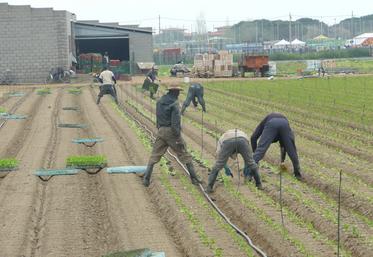 Le non-renouvellement du titre de séjour valant titre de travail entraîne la rupture sans délai du contrat.