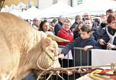 Le taureau de 5 ans et de 1 300 kg d'Hervé Gagnepain a fait sensation. Une belle bête que les visiteurs ont adoré caresser et prendre en photo.