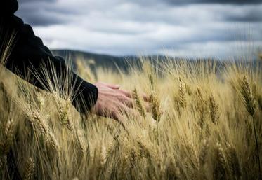 La FNSEA réalise une enquête concernant les profils des salariés agricoles.