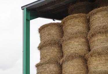 Bien dimensionner son bâtiment est important. « On estime qu’il est bon de prévoir de quoi stocker une année normale augmentée de 20 %, explique le conseiller Maxime Tamine.