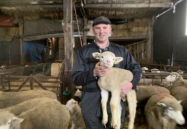 L’élevage ovin assure l’équilibre de l’exploitation de Christophe Cressent, ainsi que de sa vie de famille.