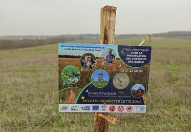 Parmi les cinq Maec ouvertes sur la ZPS Beauce et vallée de la Conie, une concerne l'entretien des pelouses sèches.