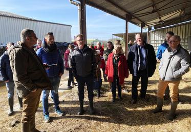 Mercredi 15 mars, à La Marolle-en-Sologne. Des chefs cuisiniers de la restauration collective qui utilisent la plateforme Agrilocal visitent l'élevage bovin viande Jaffré et fils.