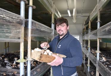 À Allainville-en-Beauce, Charlie Delorme a fait aménager cinq salles contenant chacune 40 bacs à champignons.