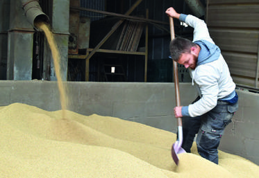 L’apprenti est rémunéré 35 heures par semaine, qu’il soit en entreprise ou au CFA.