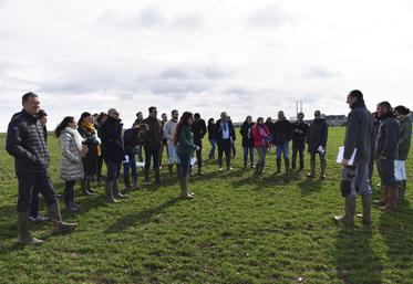 À Congerville-Thionville (Essonne), mardi 21 mars. Arvalis a proposé une visite terrain au comité de pilotage.