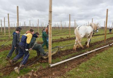 Le 10 mars, à Louville-la-Chenard. Une douzaine d'élèves du LEAP de Nermont ont participé à un atelier de maraîchage avec cheval.