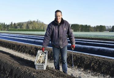 Hervé Beulin emploie cinq à six saisonniers chaque année pour l'aider à récolter les asperges.