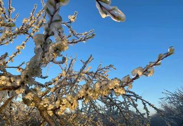L'an dernier, le thermomètre avait affiché - 7 °C deux nuits d'affilée, obligeant les exploitants comme Jean-Luc Gauthier à asperger leurs fruitiers.